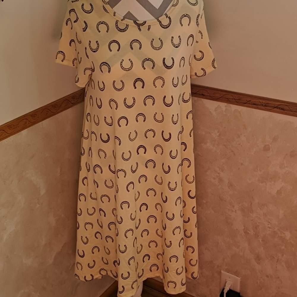 Lularoe Carly dress. Size medium. Nwot
